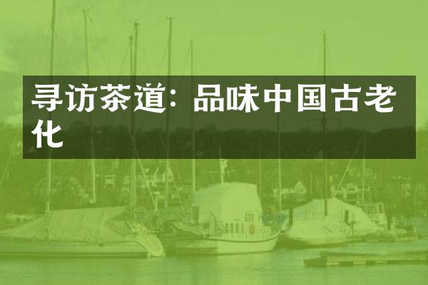 寻访茶道: 品味中国古老文化