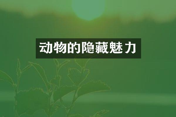 动物的隐藏魅力