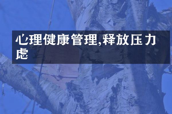 心理健康管理,释放压力焦虑