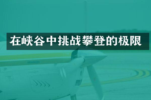 在峡谷中挑战攀登的极限