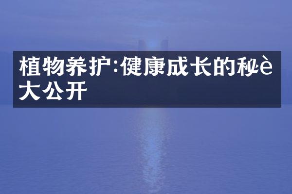植物养护:健康成长的秘诀大公开