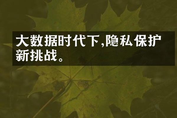 大数据时代下,隐私保护的新挑战。