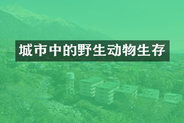 城市中的野生动物生存