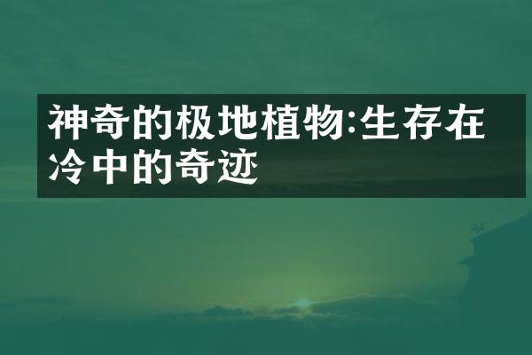 神奇的极地植物:生存在寒冷中的奇迹