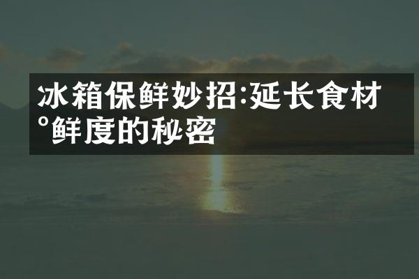 冰箱保鲜妙招:延长食材新鲜度的秘密