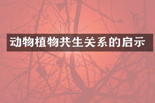 动物植物共生关系的启示