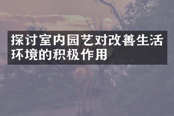 探讨室内园艺对改善生活环境的积极作用
