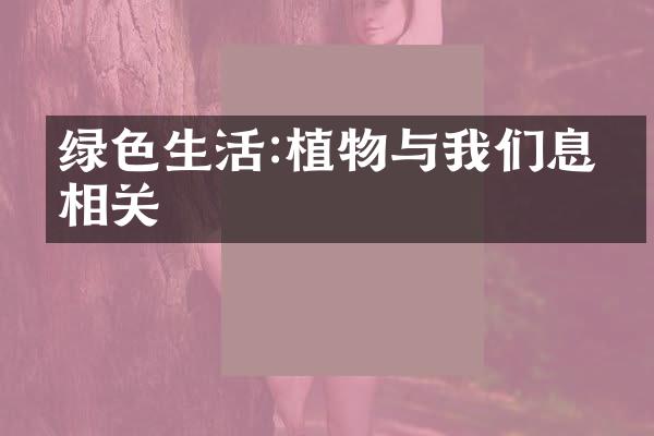 绿色生活:植物与我们息息相关
