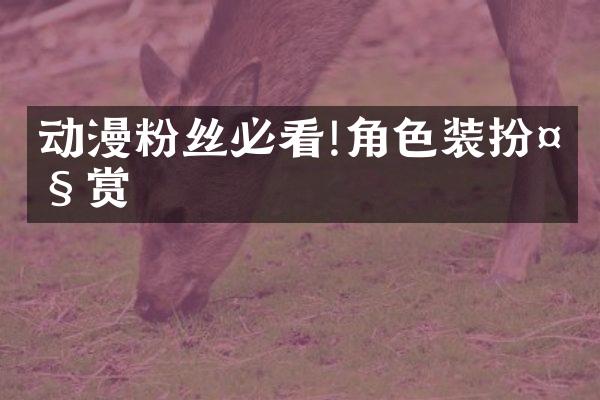 动漫粉丝必看!角色装扮大赏