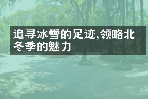追寻冰雪的足迹,领略北国冬季的魅力