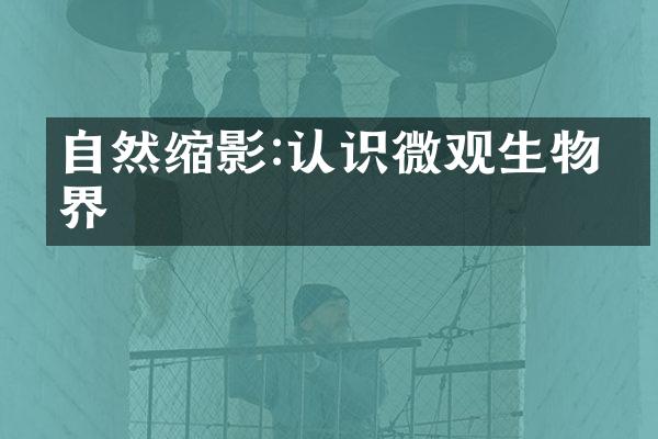 自然缩影:认识微观生物世界