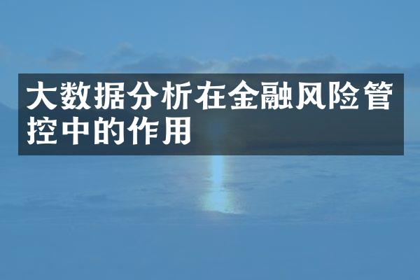 大数据分析在金融风险管控中的作用