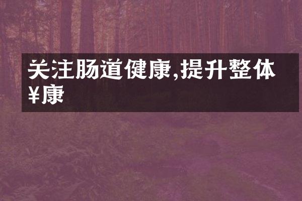 关注肠道健康,提升整体健康