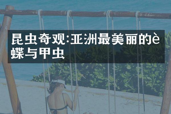 昆虫奇观:亚洲最美丽的蝴蝶与甲虫
