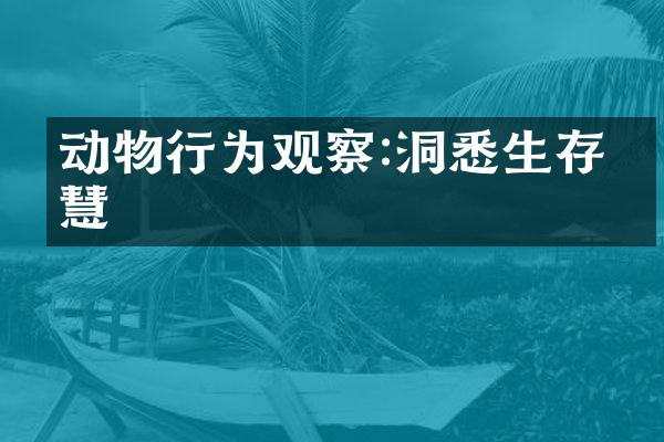 动物行为观察:洞悉生存智慧