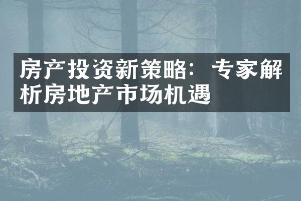 房产投资新策略：专家解析房地产市场机遇