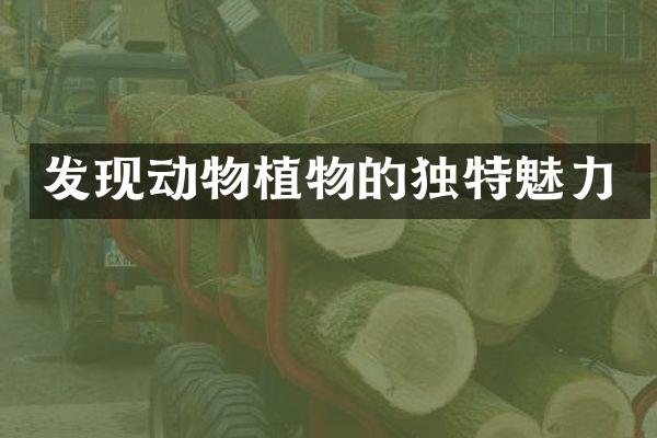 发现动物植物的独特魅力
