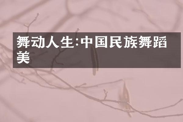 舞动人生:中国民族舞蹈之美