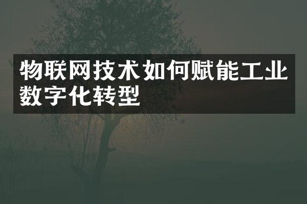 物联网技术如何赋能工业数字化转型