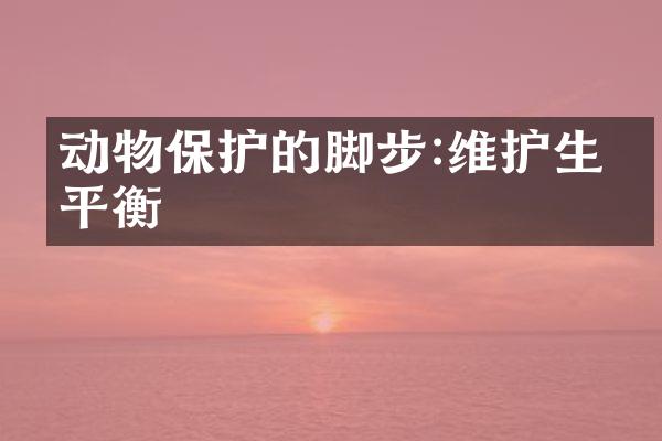 动物保护的脚步:维护生态平衡