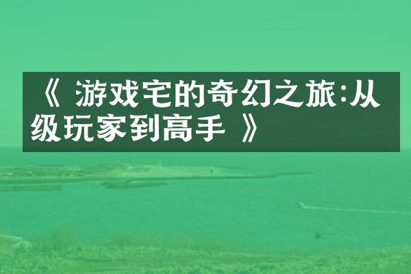 《 游戏宅的奇幻之旅:从初级玩家到高手 》