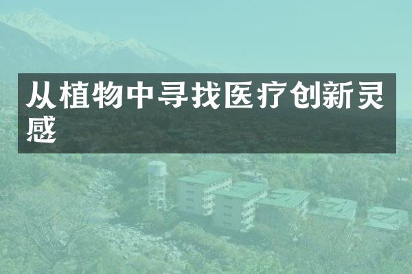 从植物中寻找医疗创新灵感