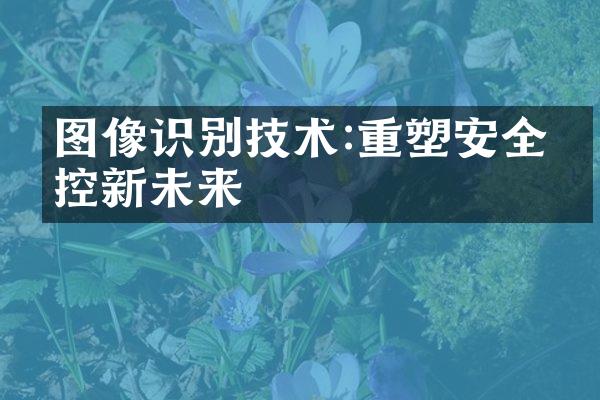 图像识别技术:重塑安全监控新未来