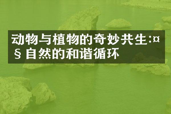 动物与植物的奇妙共生:大自然的和谐循环