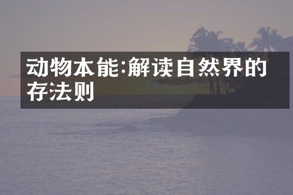 动物本能:解读自然界的生存法则
