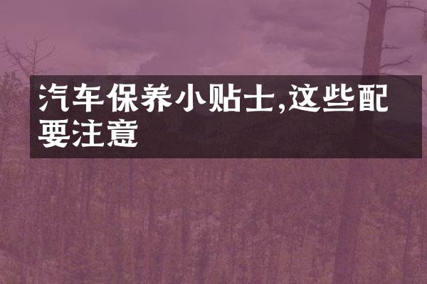 汽车保养小贴士,这些配件要注意
