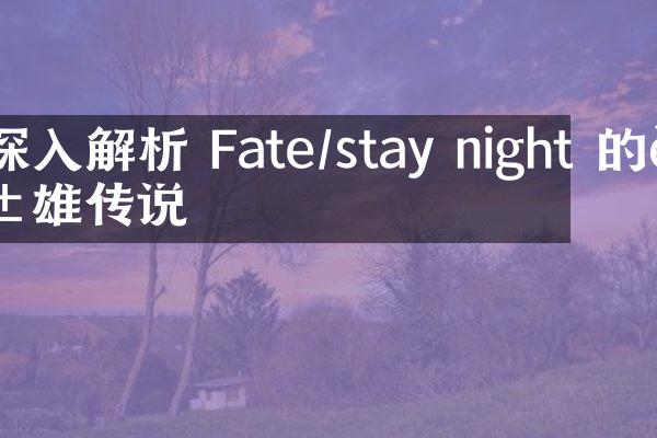 深入解析 Fate/stay night 的英雄传说