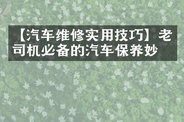 【汽车维修实用技巧】老司机必备的汽车保养妙招