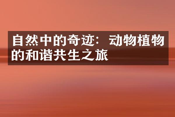 自然中的奇迹：动物植物的和谐共生之旅