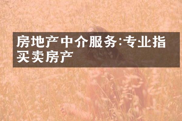 房地产中介服务:专业指导买卖房产