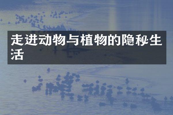 走进动物与植物的隐秘生活