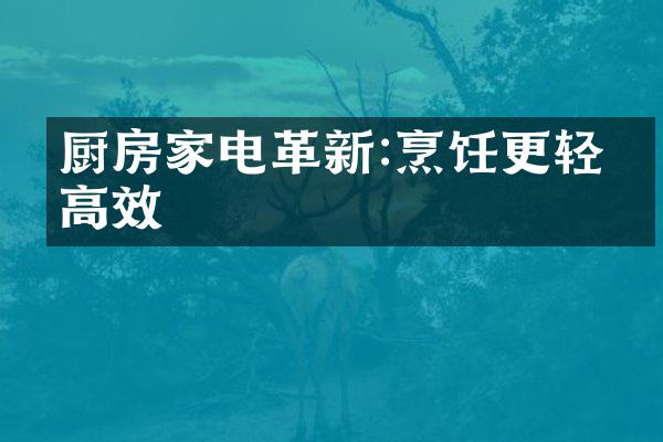厨房家电革新:烹饪更轻松高效