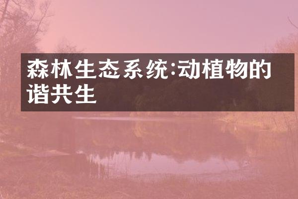 森林生态系统:动植物的和谐共生
