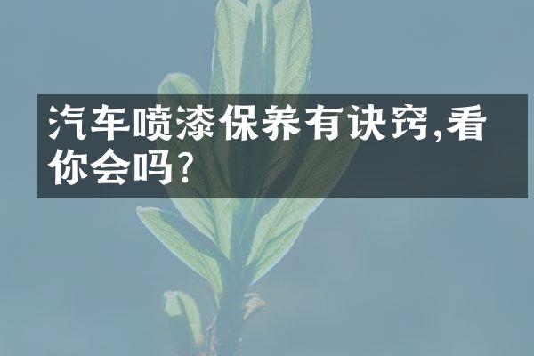 汽车喷漆保养有诀窍,看看你会吗?