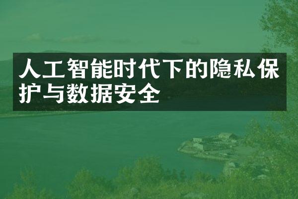 人工智能时代下的隐私保护与数据安全