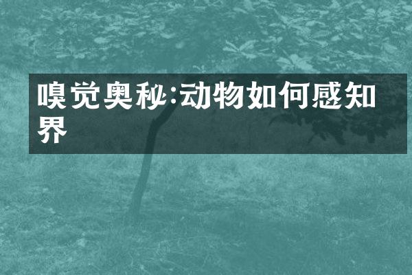 嗅觉奥秘:动物如何感知世界