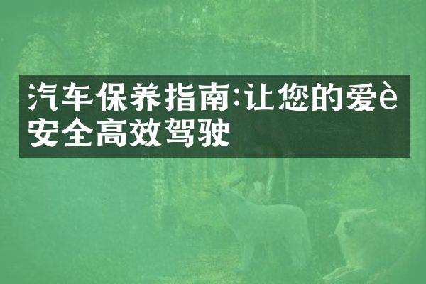 汽车保养指南:让您的爱车安全高效驾驶