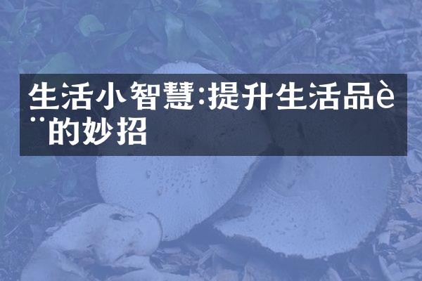 生活小智慧:提升生活品质的妙招