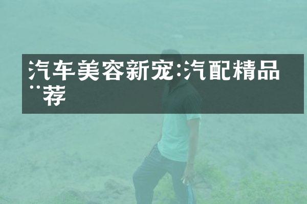 汽车美容新宠:汽配精品推荐