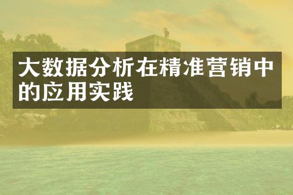 大数据分析在精准营销中的应用实践