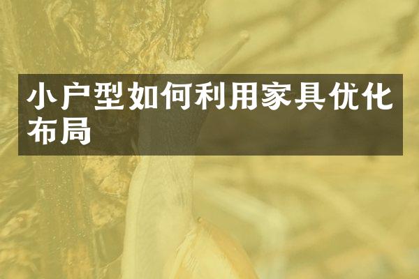 小户型如何利用家具优化布局
