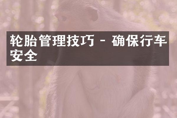 轮胎管理技巧 - 确保行车安全