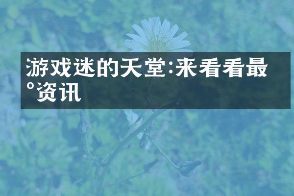 游戏迷的天堂:来看看最新资讯