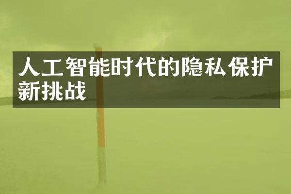 人工智能时代的隐私保护新挑战