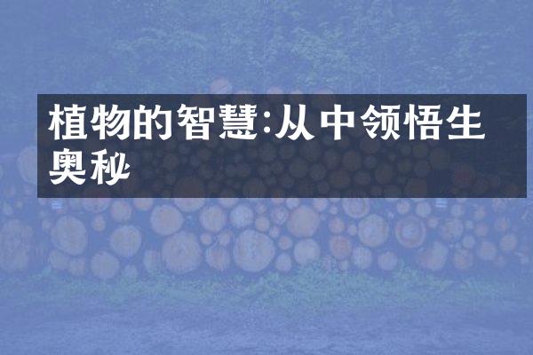 植物的智慧:从中领悟生命奥秘