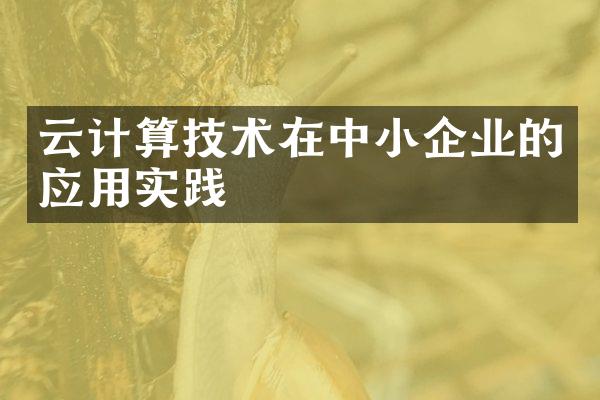 云计算技术在中小企业的应用实践